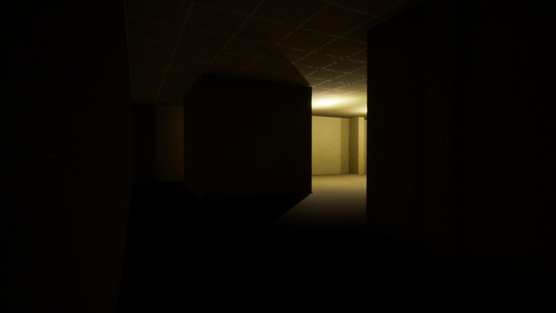 Backrooms Game Screenshot