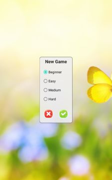 Sudoku Game Screenshot