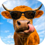 Icon dari I Am Bull