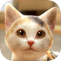 Icon dari with My CAT