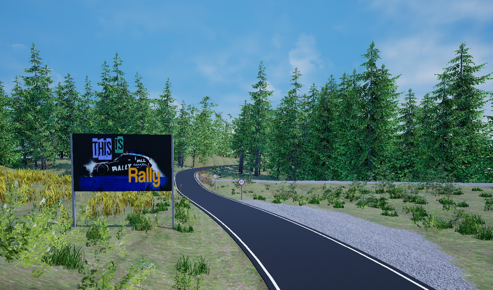 Screenshot of This is Rally