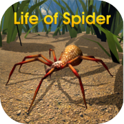 La vie d'araignée