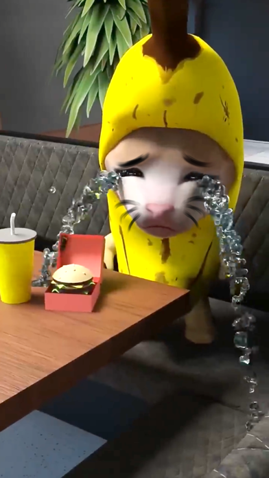 Screenshot of Banana Cat!