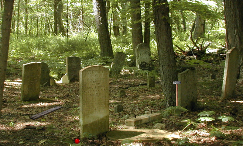 Escape Game South Wild Forest Game Screenshot