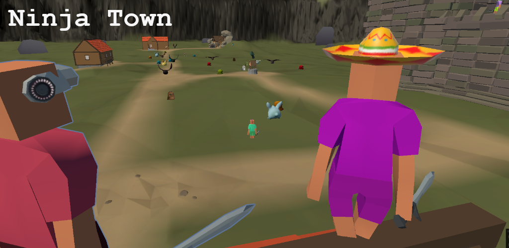 Screenshot of the video of Ninja Town