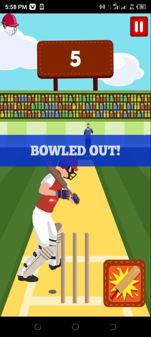 Pro Cricket Champion Game Screenshot