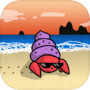 The Hermit Crab