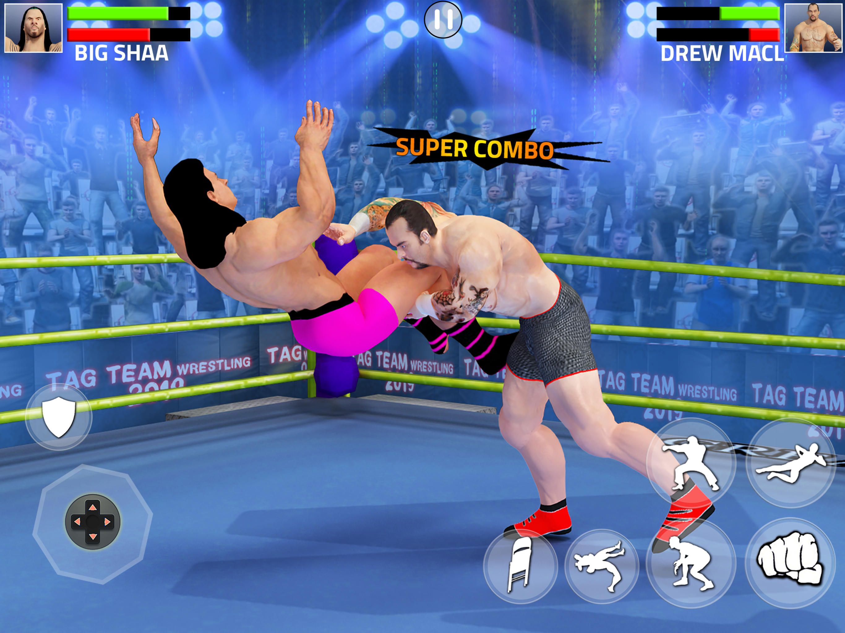 Screenshot of Tag Team Wrestling Game