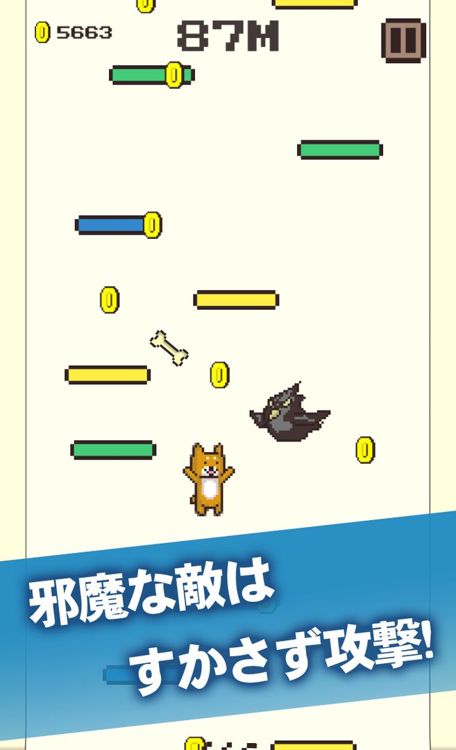 コタロージャンプ2～柴犬のコタローシリーズ～ ภาพหน้าจอเกม