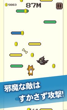 コタロージャンプ2~柴犬のコタローシリーズ~ ゲームのスクリーンショット