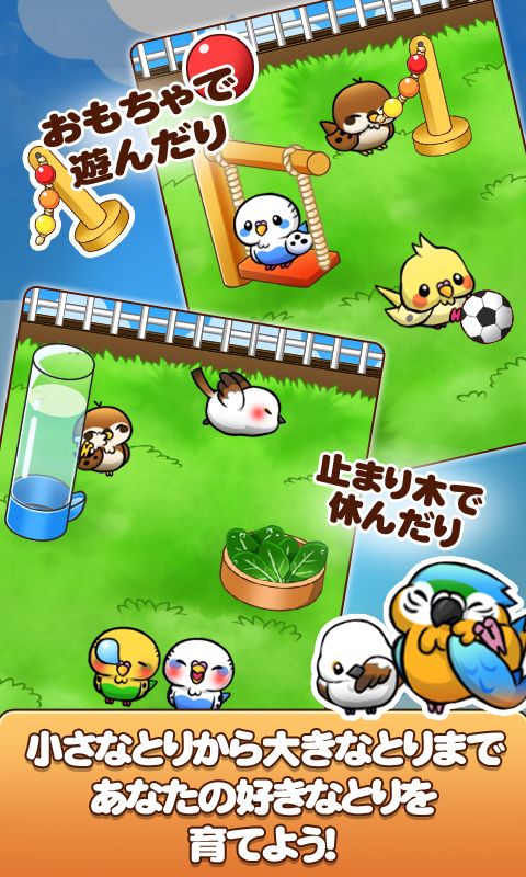 バードライフ　-鳥さん育成ゲーム- screenshot game