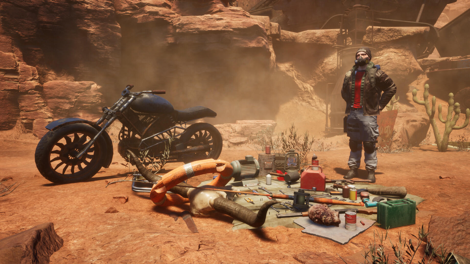Canyons Game Screenshot