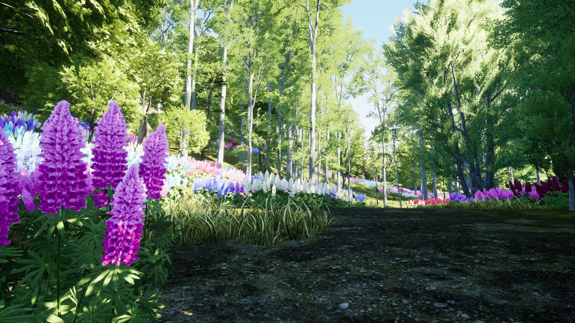 Nature Hunter Game Screenshot