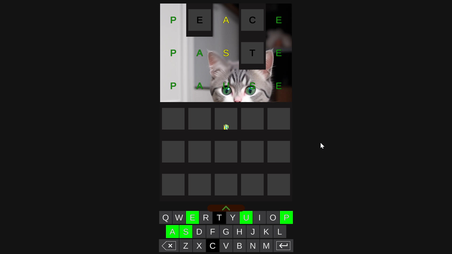pWordle screenshot game