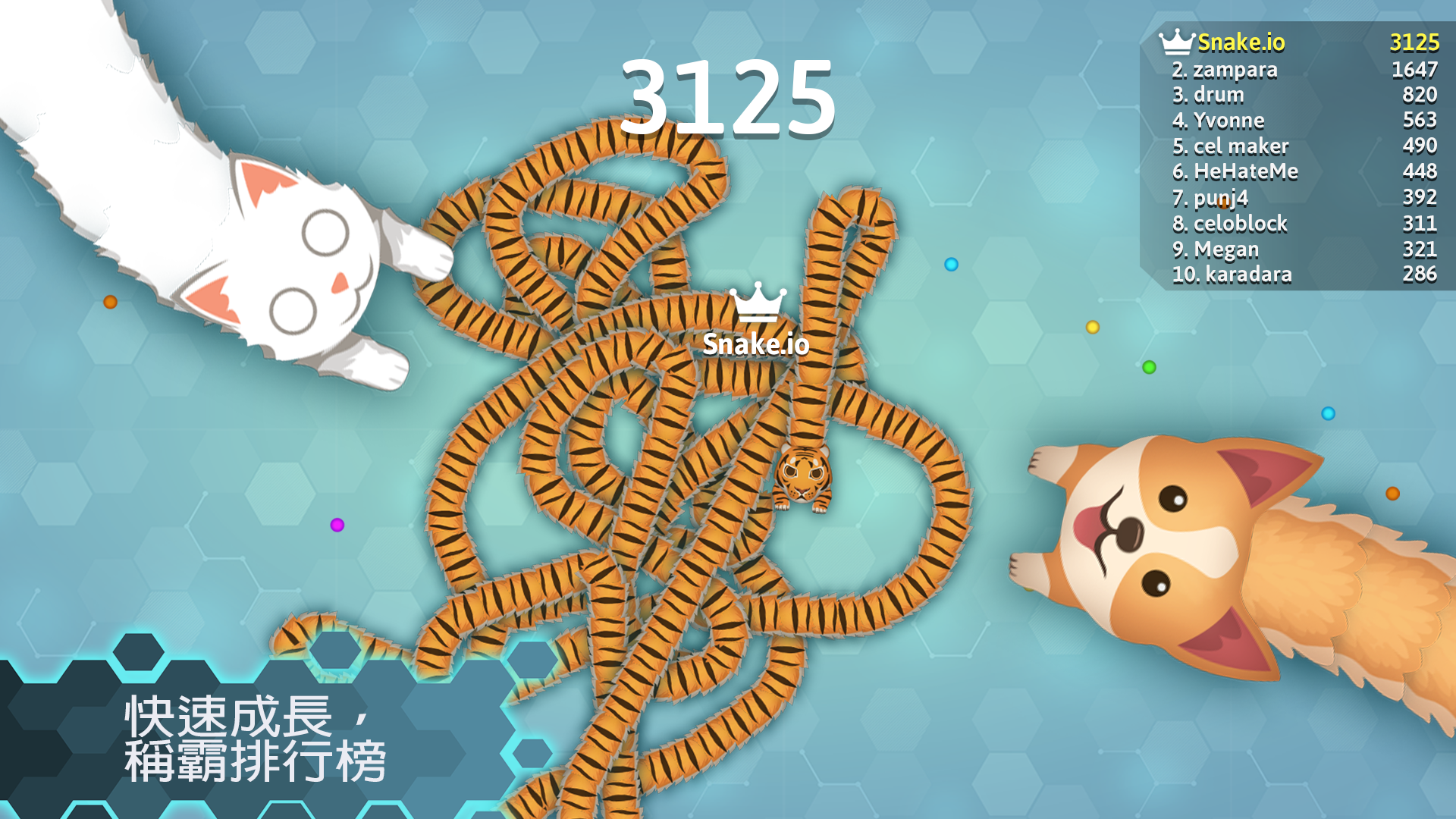 Snake.io - 有趣的 貪吃蛇.io 遊戲 遊戲截圖