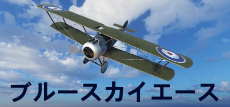 Banner of Blue Sky Aces 