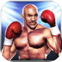Boxing Champion Real Punch Fist