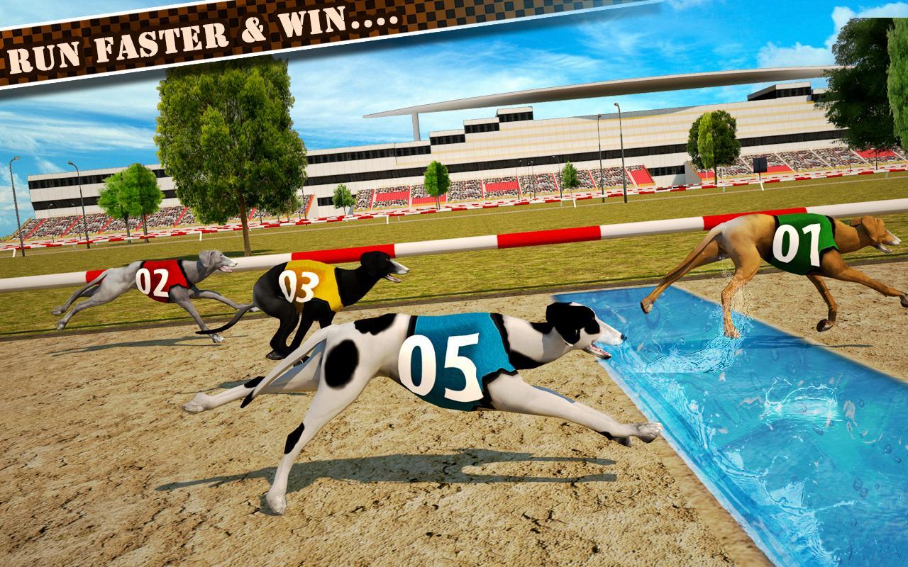 Dog Race & Stunts 2016 Game Screenshot