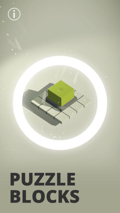 Puzzle & Blocks Game Screenshot