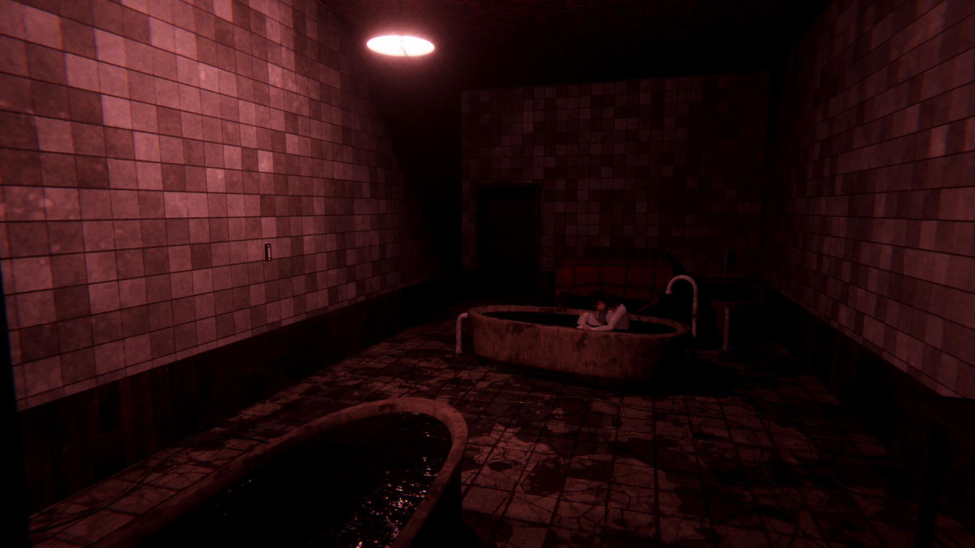 Screenshot of Sorrow Asylum 2