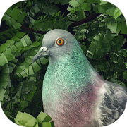 Pigeon: A Love Story