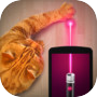 Laser for cat. Simulator