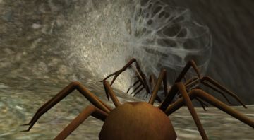 Spider Nest Simulator - insect Game Screenshot
