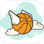 Flap Dunk: Sky Ball