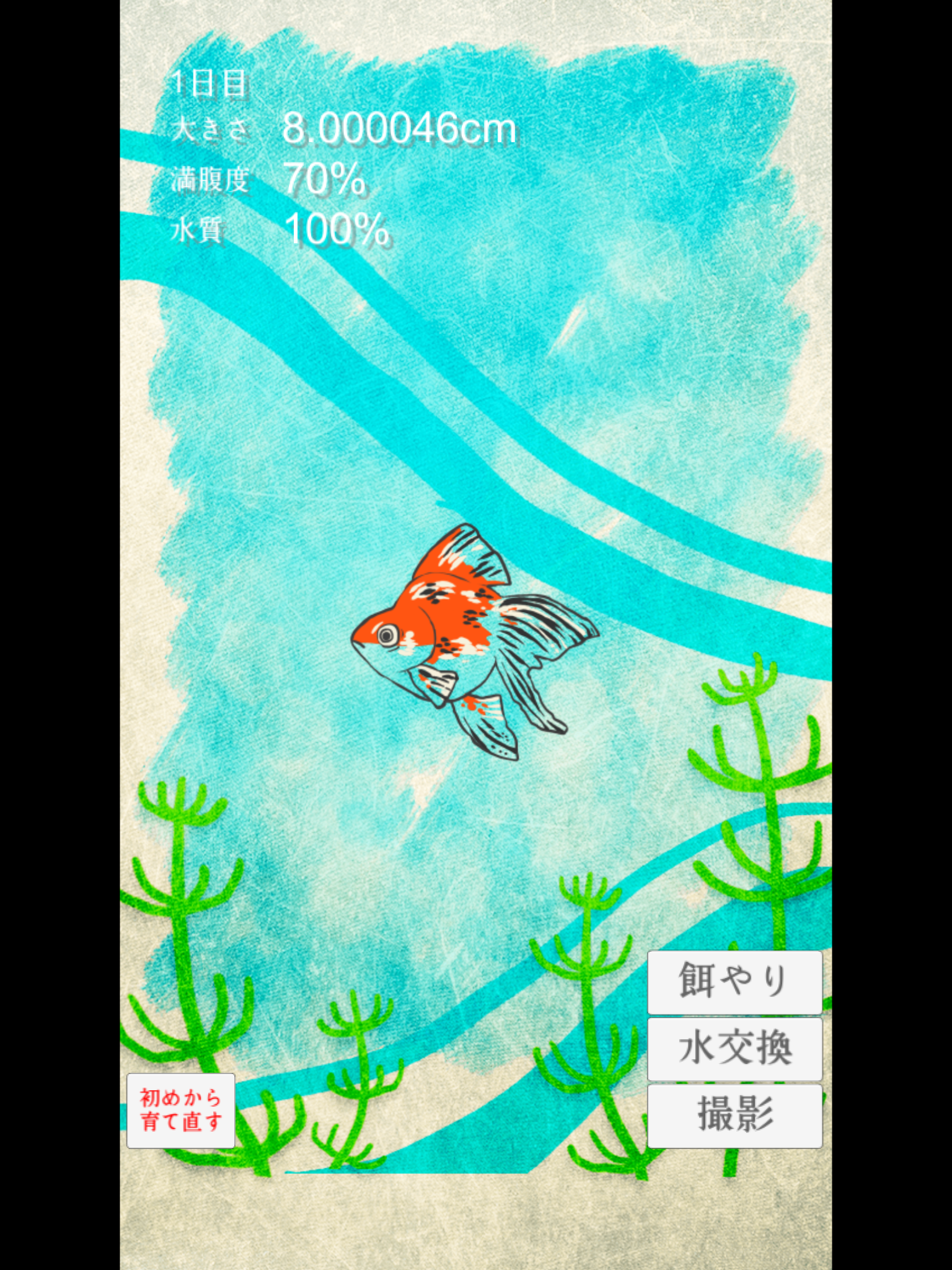 Screenshot of 癒しの金魚育成ゲーム