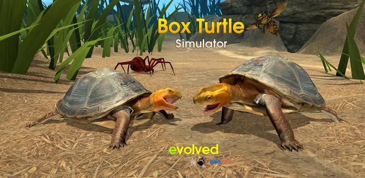 Banner of Box Turtle Simulator 1.0.1