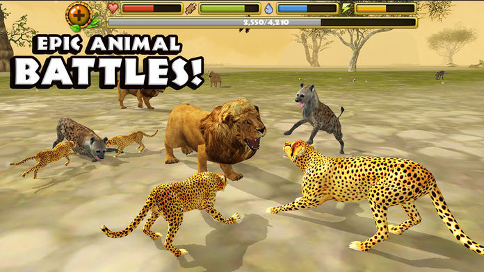 Screenshot of Cheetah Simulator