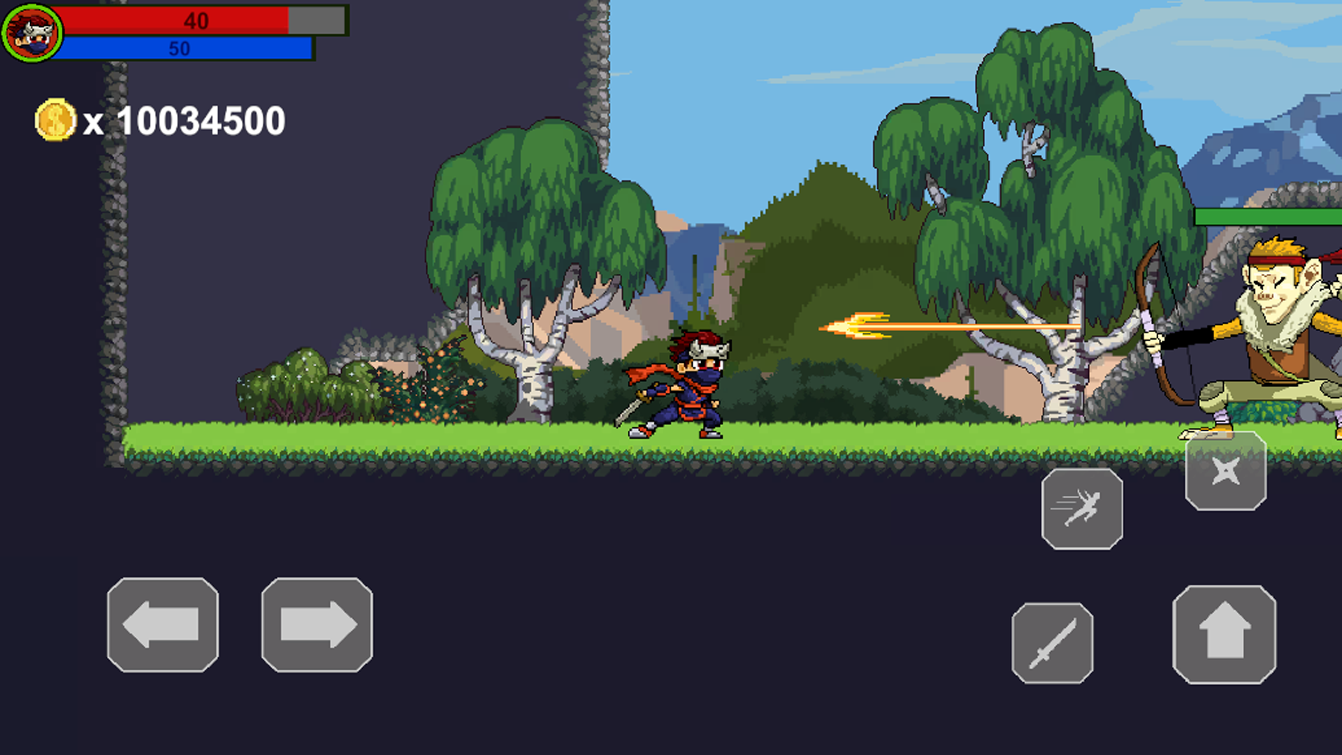 Ninja Warrior Game Screenshot