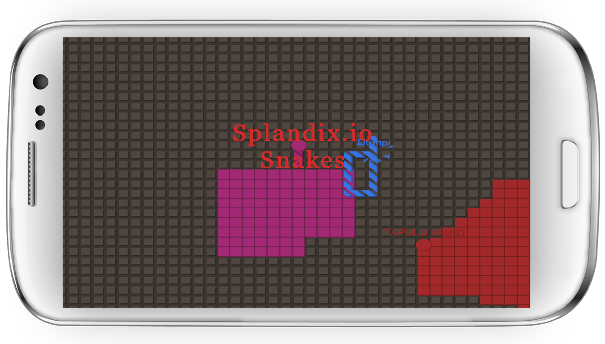 Splix.io Snakes Game Screenshot