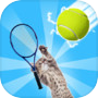 Tennis Cat - Funny Meme Cat