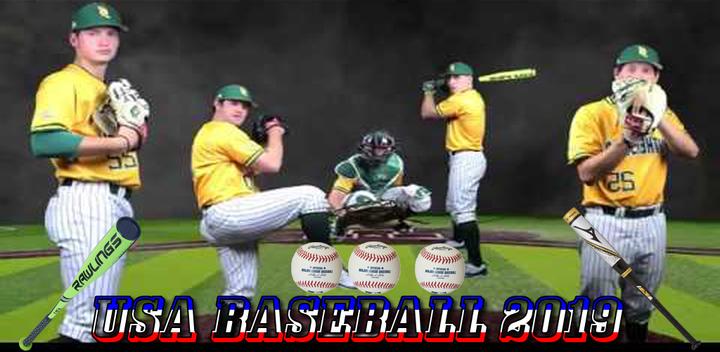Banner of Baseball Champion League 2019 1.2