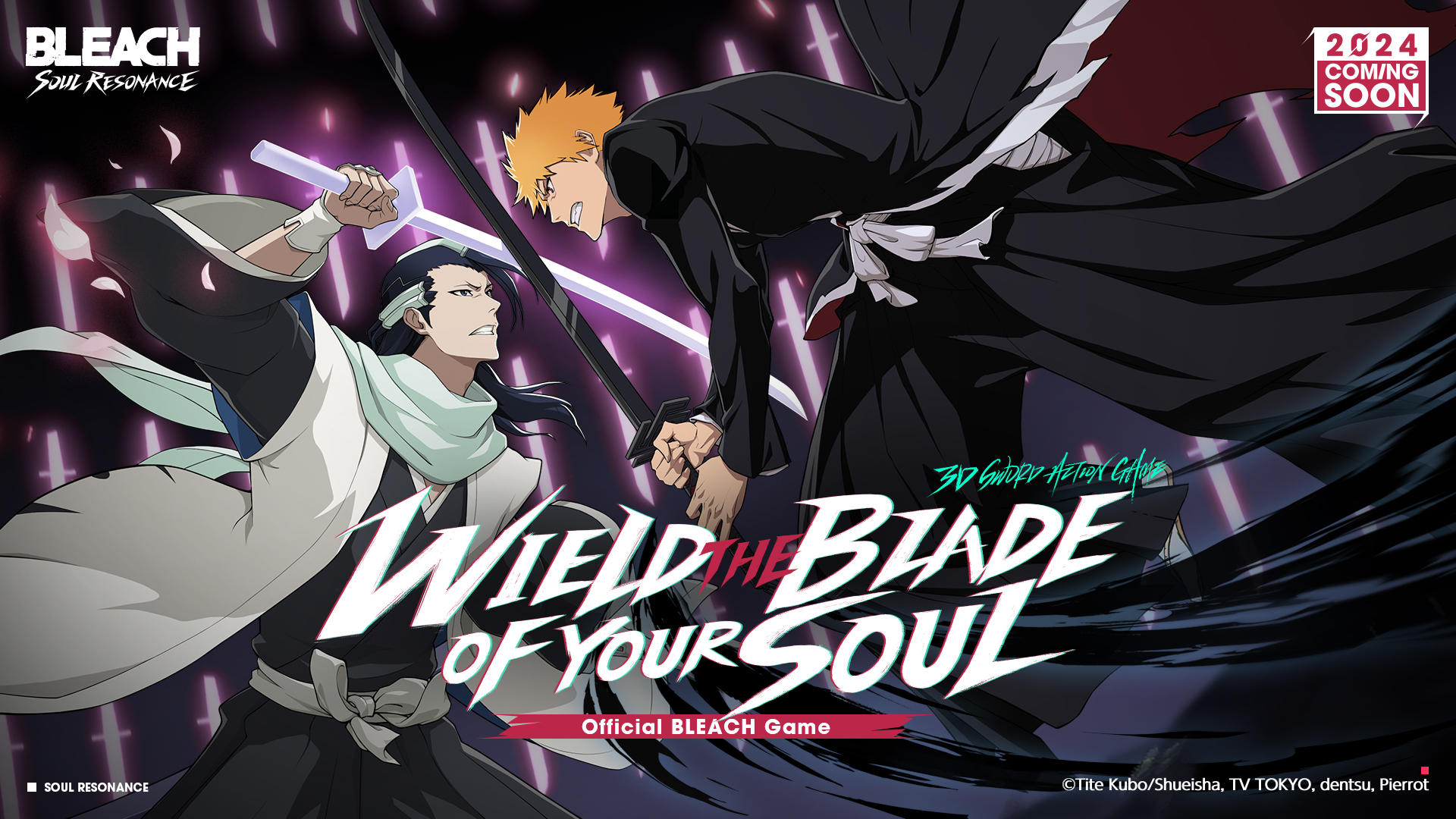 Bleach: Soul Resonance