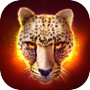 Icon of The Cheetah