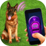 Icon dari Training Dog Clicker Trinket