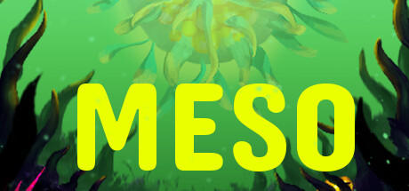 Banner of MESO 