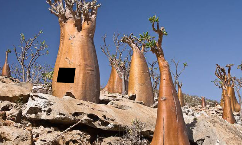 Screenshot of Escape From Socotra Island