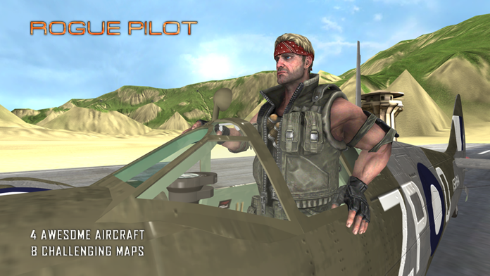 A Rogue Pilot Pro Game Screenshot
