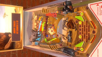 Safari Pinball Game Screenshot