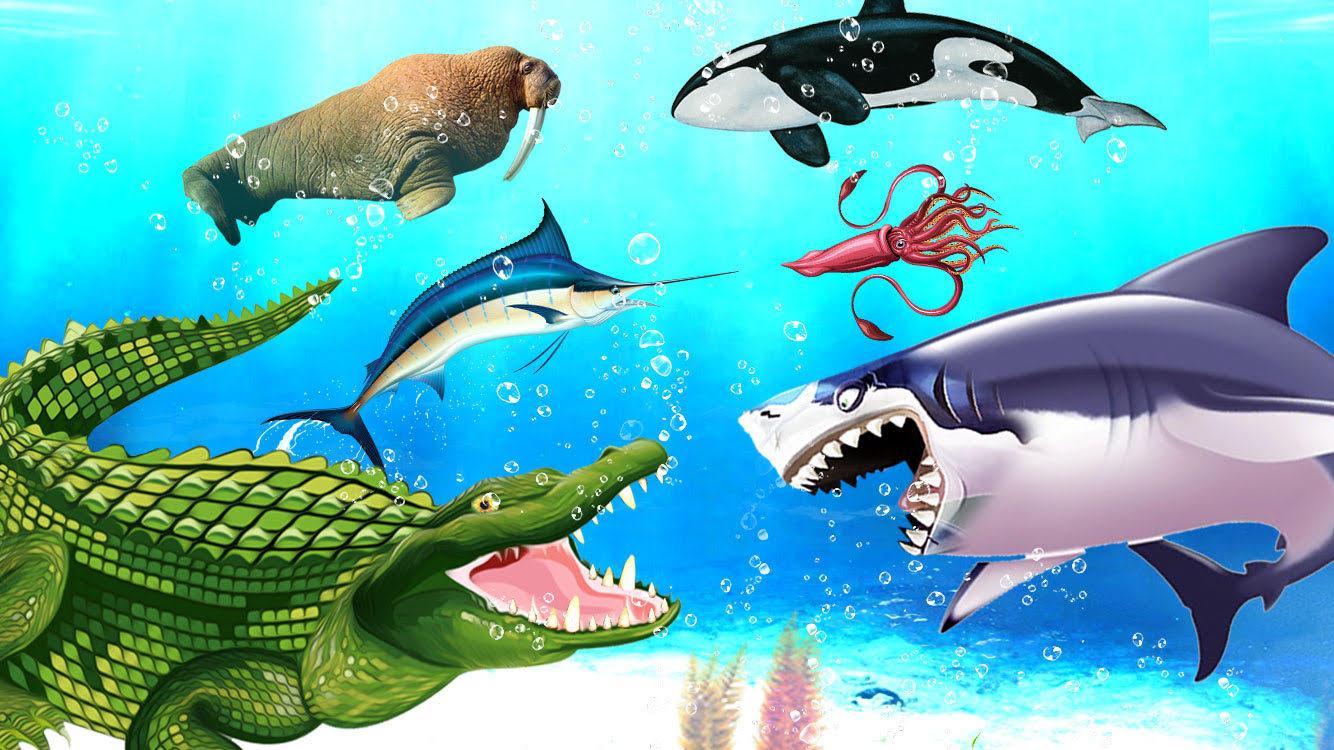 Sea Animal Kingdom: War Simula Game Screenshot