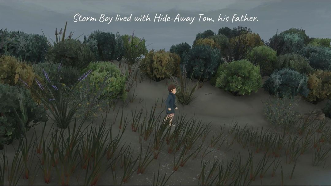 Screenshot of Storm Boy