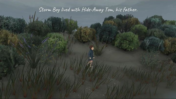 Screenshot 1 of Storm Boy 