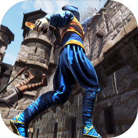 Ninja Assassin Creed Shadow