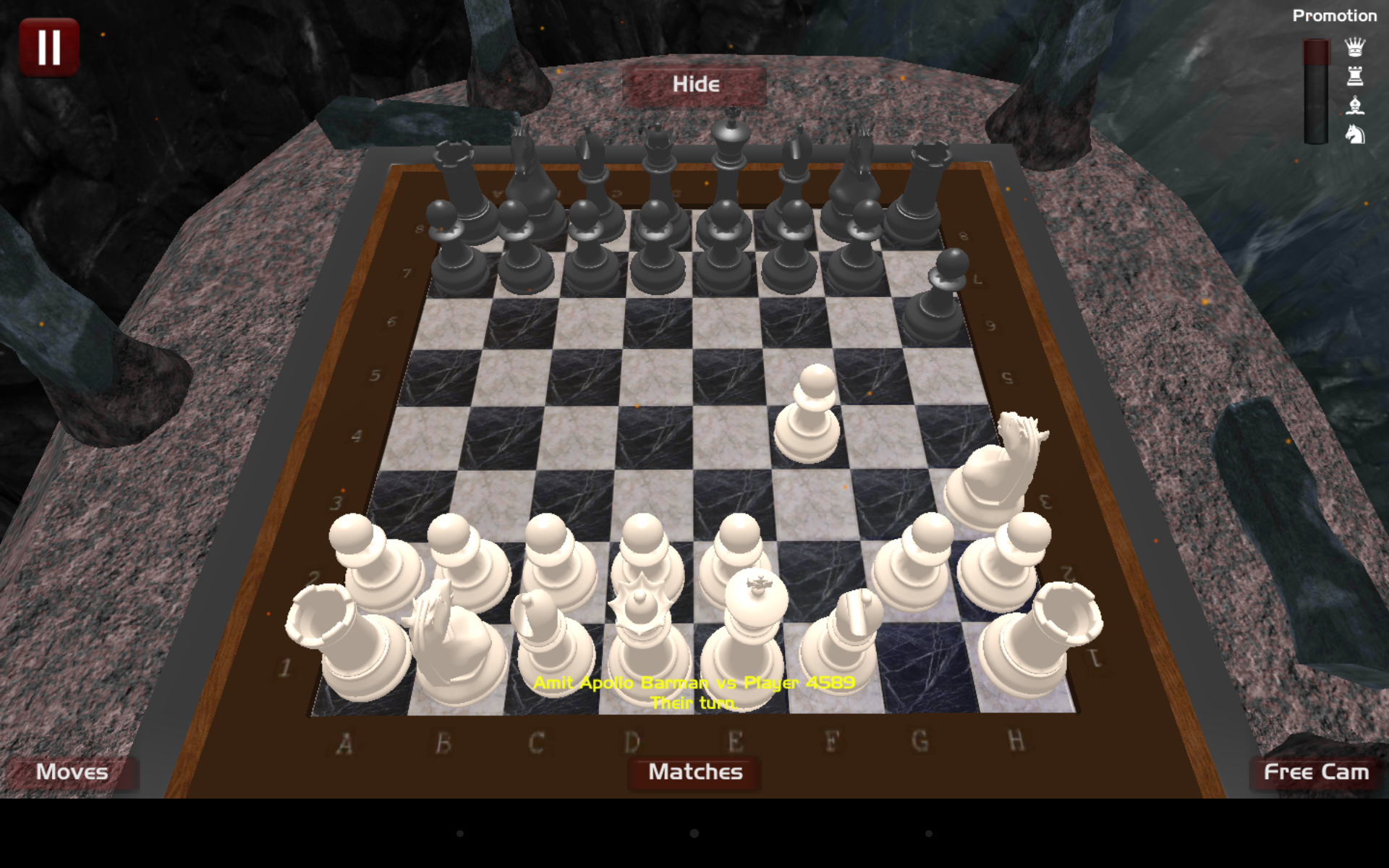 Screenshot 1 of Roi d'échecs 