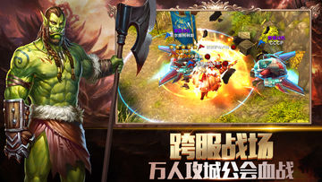 霸王的大陆 Game Screenshot