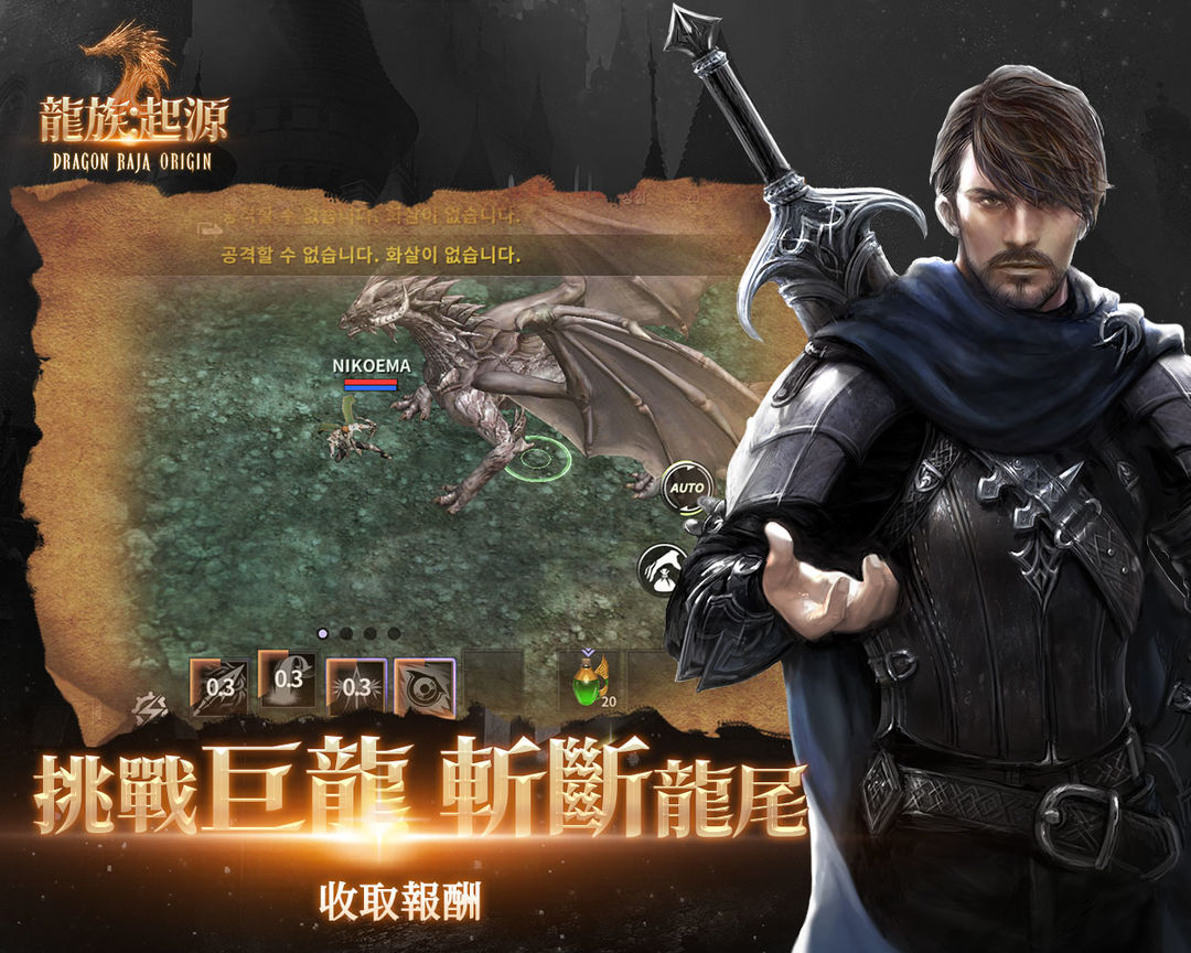 Screenshot of Dragon Raja Origins