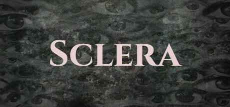 Banner of Склера 
